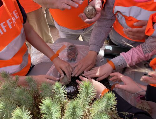 Día de los Árboles, los Áridos y la Biodiversidad 2025