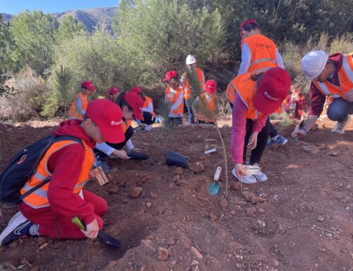 Los áridos y la educación ambiental